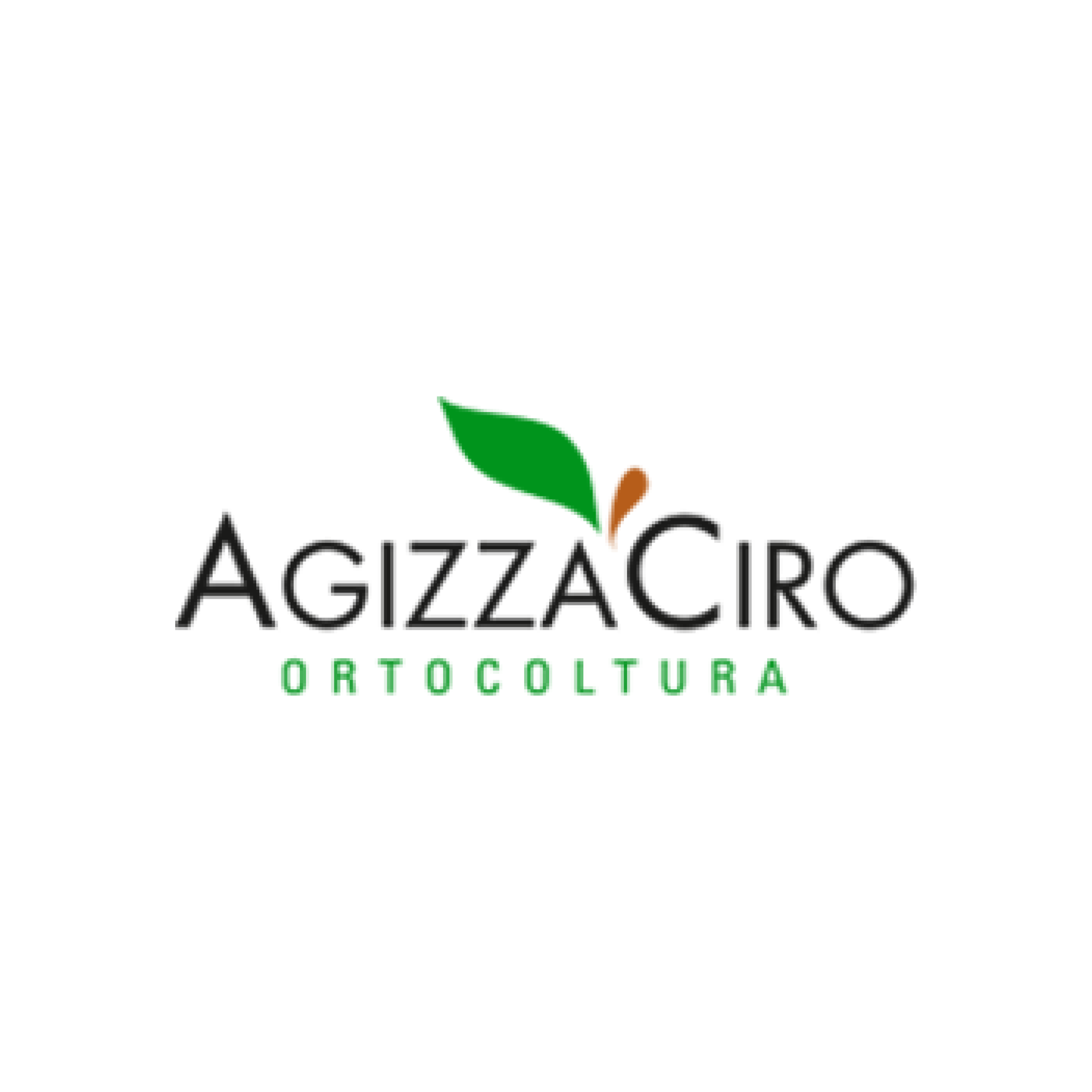 AGIZZA CIRO S.r.l.