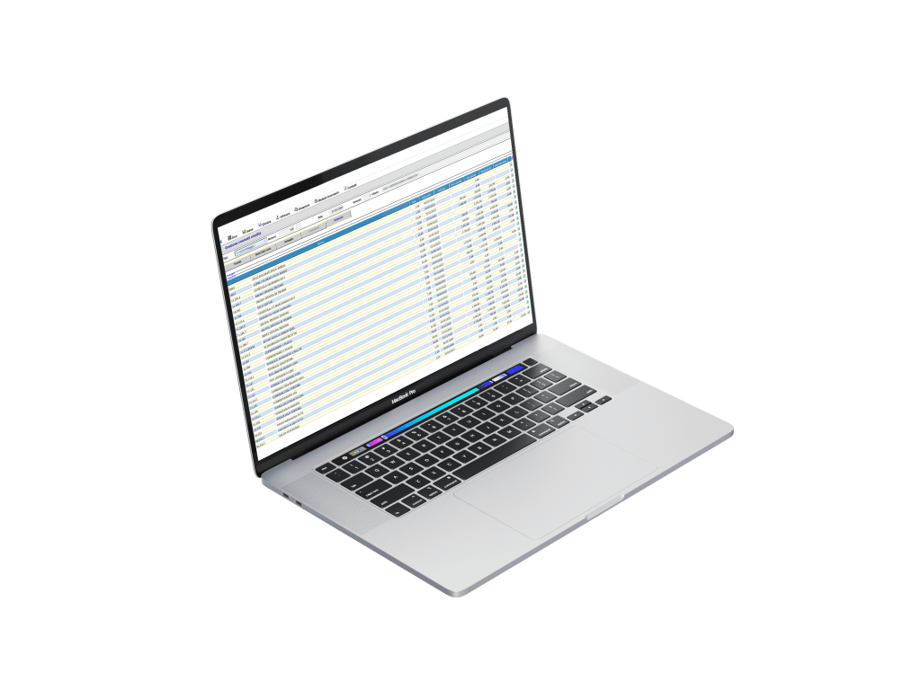 Mockup di schermata report EGGS LM