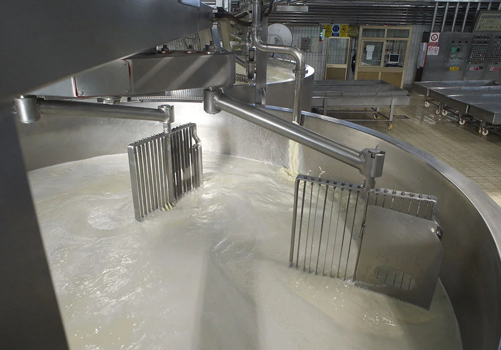 Vasca di produzione del formaggio con pale in funzione