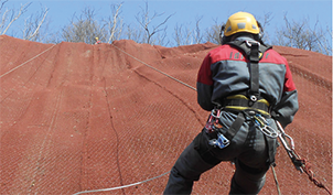 Ingegnere naturalistico in azione 